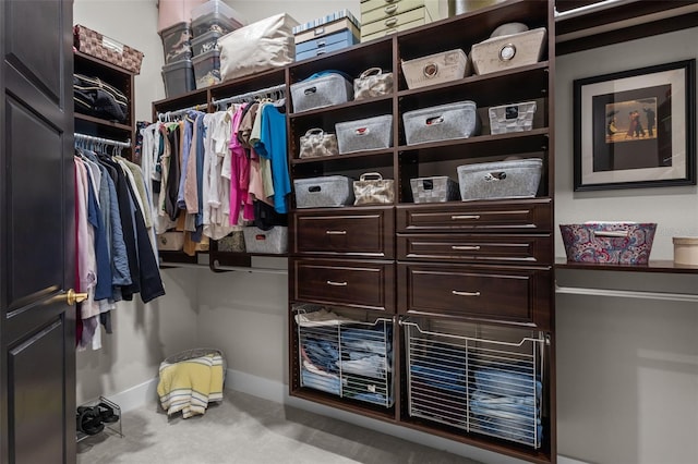 walk in closet featuring carpet floors