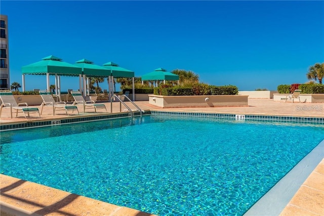 view of pool featuring a patio