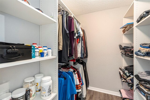 spacious closet featuring dark wood-style flooring