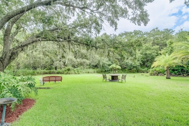 view of home's community with a yard