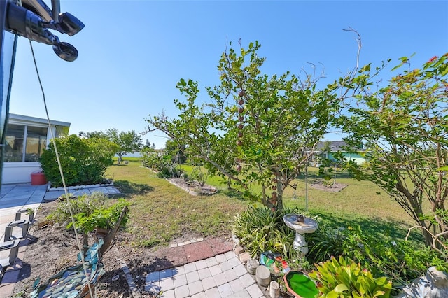 view of yard featuring a patio