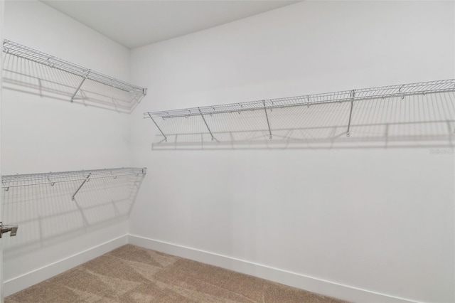 spacious closet with carpet flooring