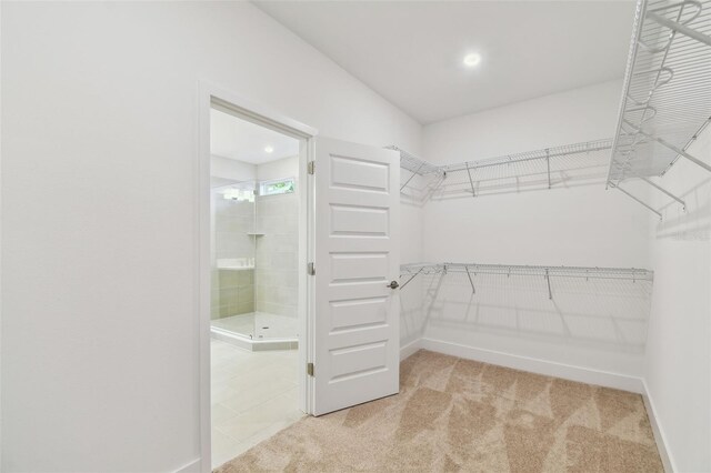 walk in closet with light colored carpet