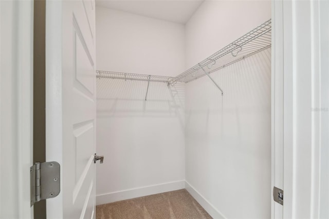 spacious closet with light colored carpet