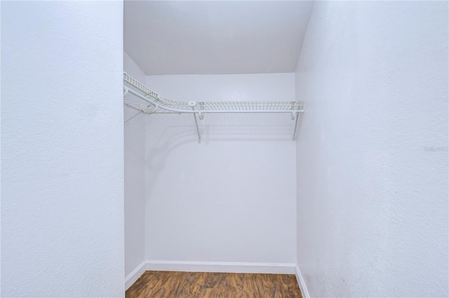 walk in closet featuring wood-type flooring