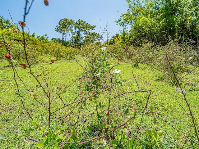 10995 Roseland Rd, Sebastian, FL 32958