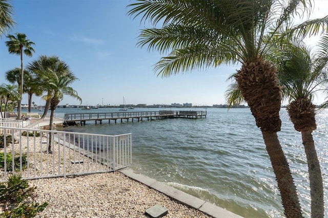 dock area with a water view