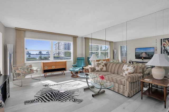 living room featuring wood-type flooring and a textured ceiling