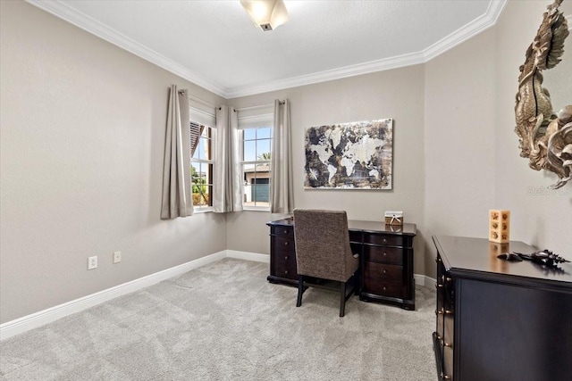 carpeted office space featuring crown molding