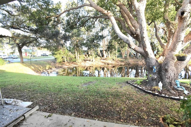 view of yard featuring a water view