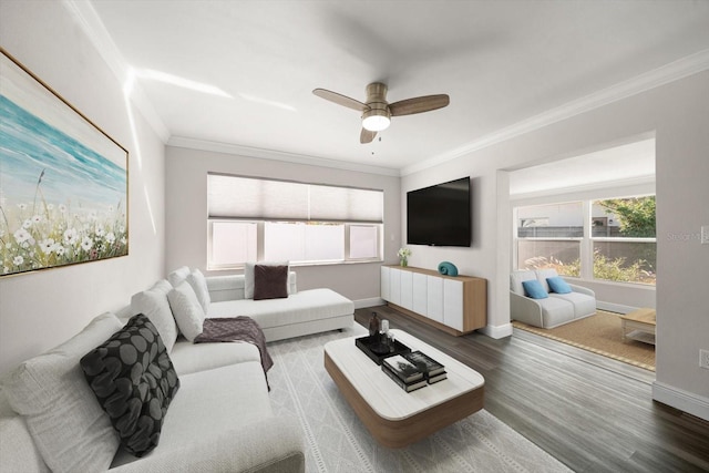 living room with ceiling fan, wood-type flooring, and crown molding