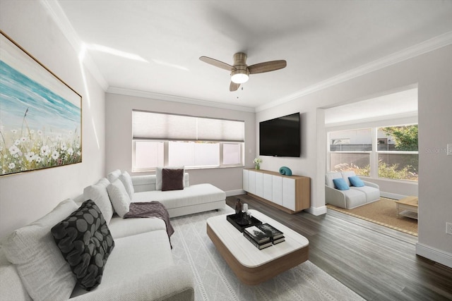 13632 Imperial Groves Dr S, Largo, FL 33774 - living area featuring crown molding, wood finished floors, and ceiling fan