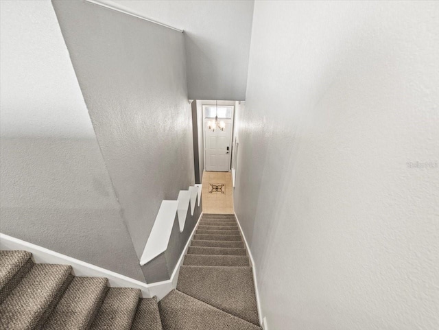 stairs featuring carpet floors