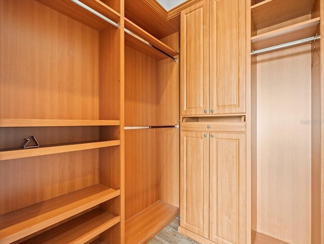 walk in closet with light hardwood / wood-style flooring