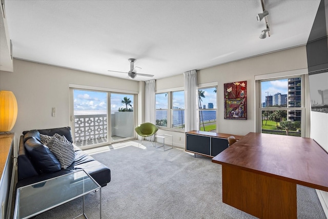 office with track lighting, ceiling fan, and light colored carpet