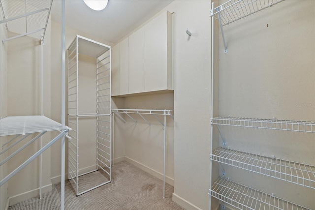 walk in closet featuring light colored carpet