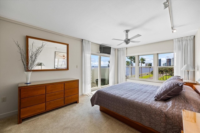 carpeted bedroom with ceiling fan and track lighting