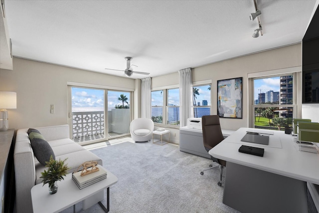 carpeted office space featuring track lighting and a ceiling fan