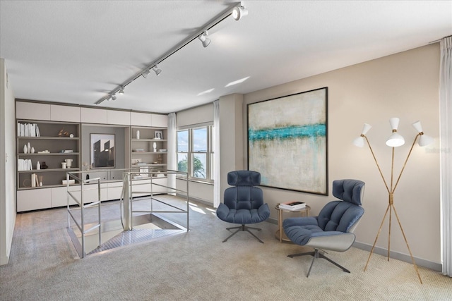 office space with track lighting, built in shelves, and carpet