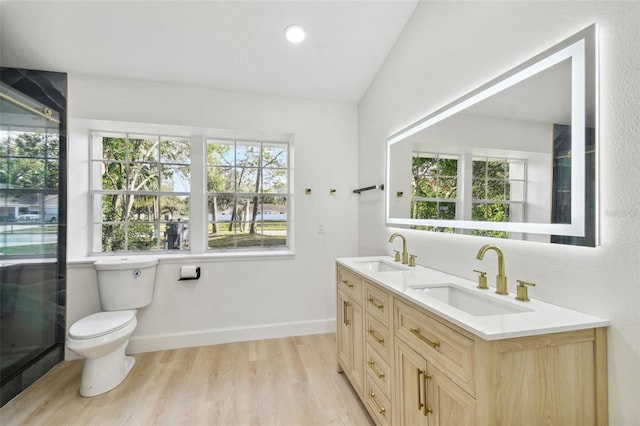 bathroom featuring vanity, a healthy amount of sunlight, lofted ceiling, and hardwood / wood-style flooring