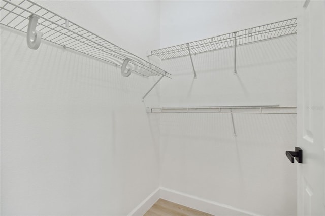 spacious closet featuring hardwood / wood-style floors