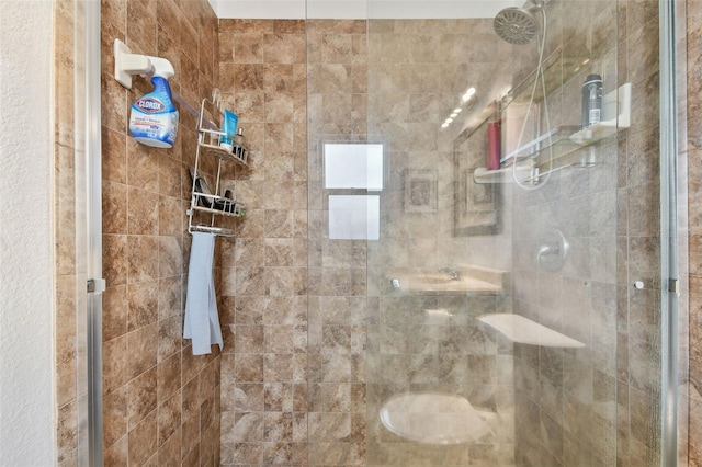 4129 36th Ave N, Saint Petersburg, FL 33713 - photo 30
