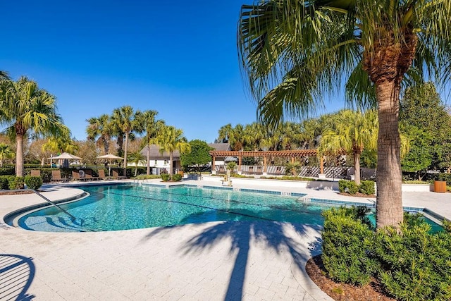 view of swimming pool featuring a patio