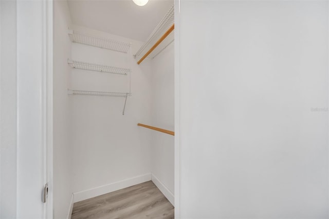 walk in closet with light wood-type flooring