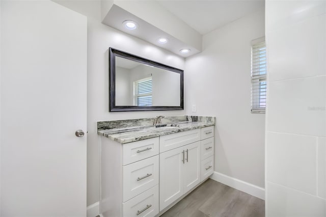 bathroom featuring vanity, wood-type flooring, and a wealth of natural light