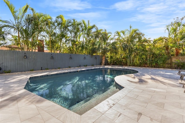 view of swimming pool featuring a patio area