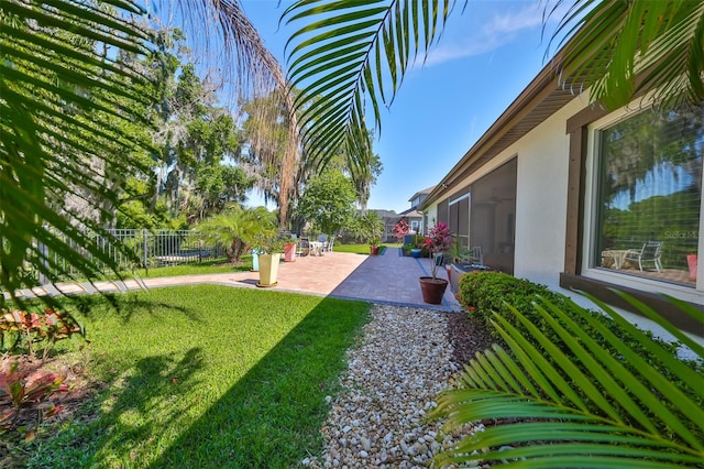 view of yard featuring a patio area