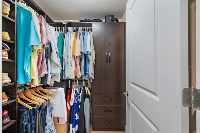 view of walk in closet