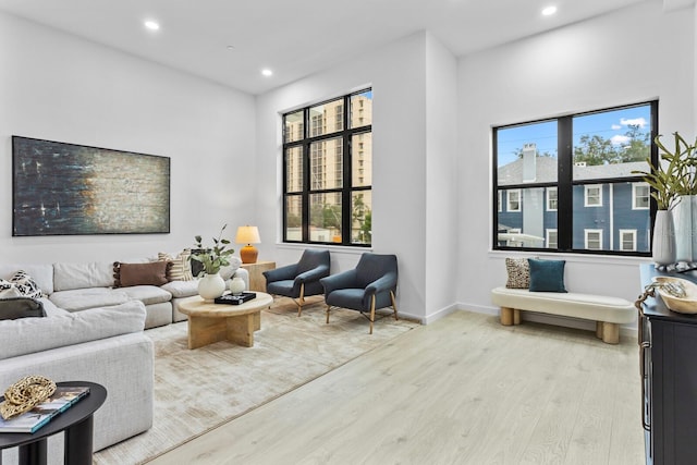 living room featuring light hardwood / wood-style flooring