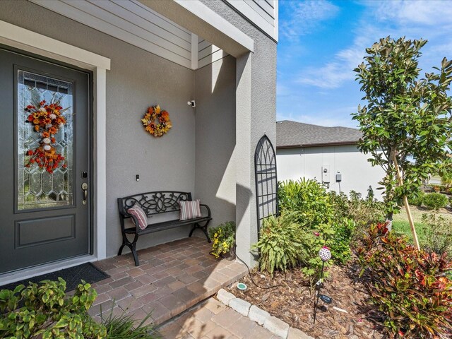 19270 Briarbrook Dr, Tampa, FL 33647 - photo 8