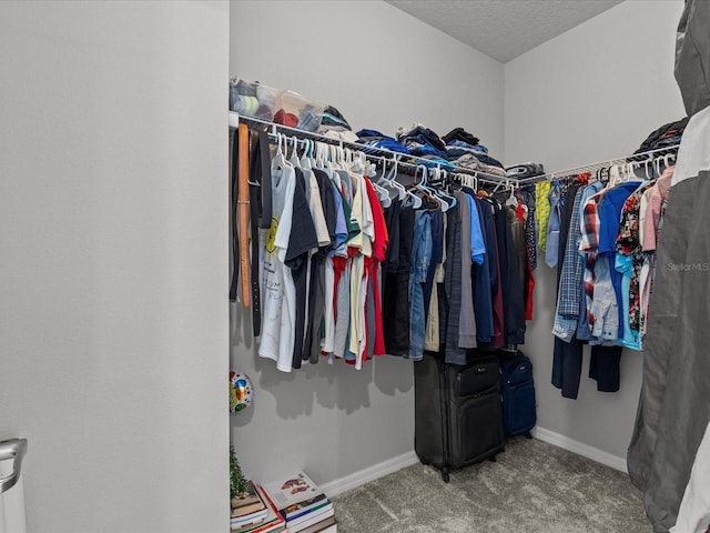 spacious closet featuring carpet