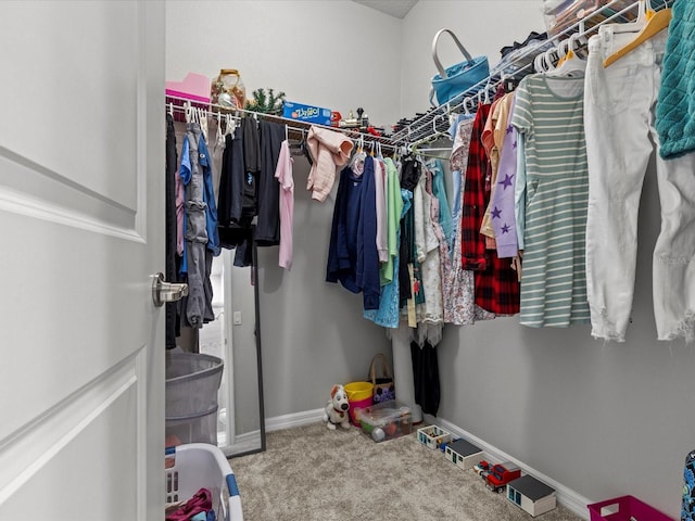 spacious closet featuring carpet flooring