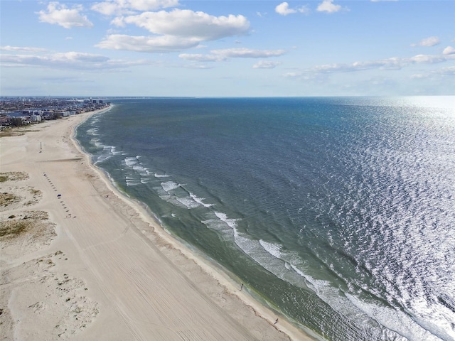 water view featuring a beach view