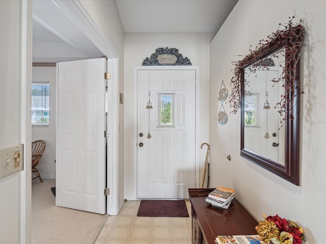 entryway with light colored carpet, a textured ceiling, and a wealth of natural light