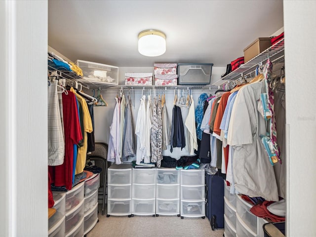 walk in closet with carpet