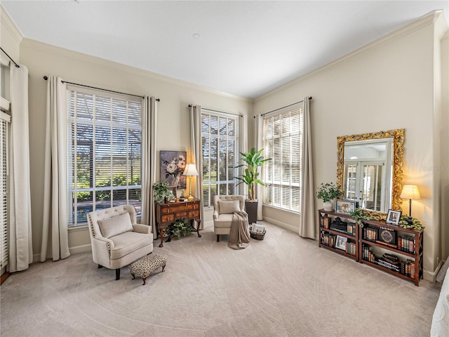 living area with carpet and ornamental molding