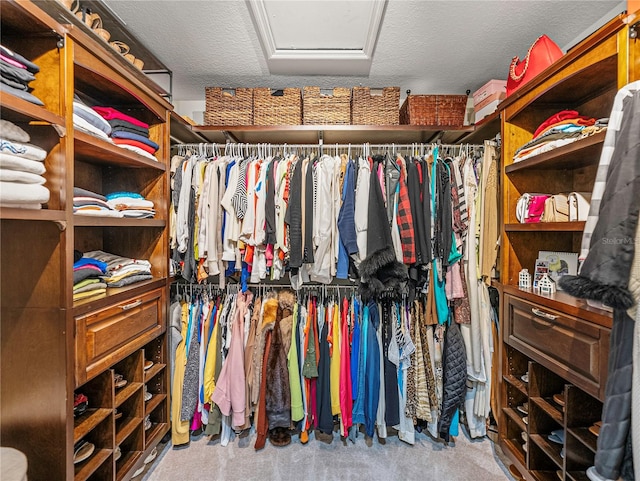 walk in closet with light colored carpet