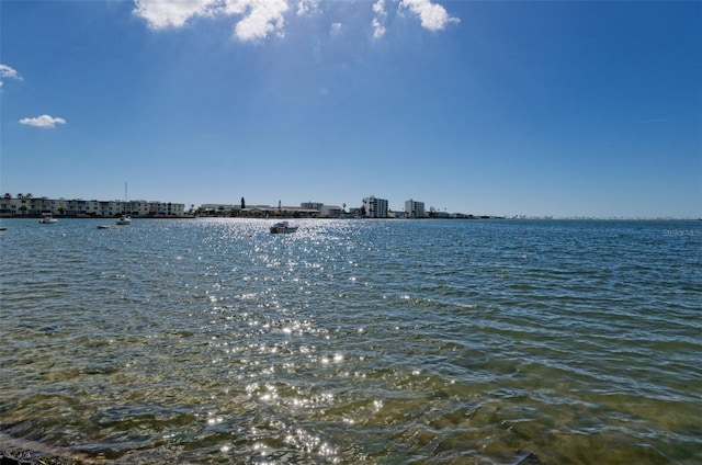 2700 Bayshore Blvd Unit 4304, Dunedin, FL 34698 - water view