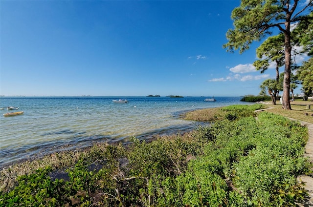 2700 Bayshore Blvd Unit 4304, Dunedin, FL 34698 - water view