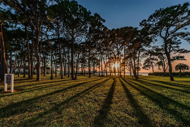 surrounding community featuring a lawn