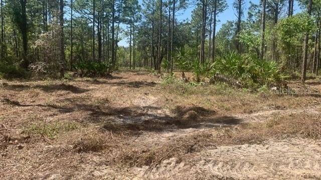 16417 Curlew Rd, Brooksville FL, 34614 land for sale