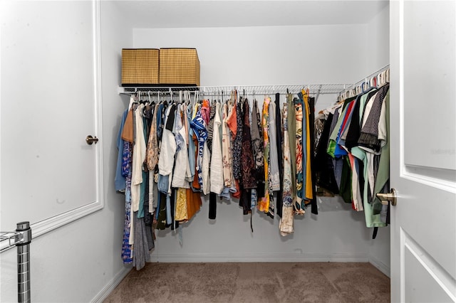 spacious closet featuring carpet floors