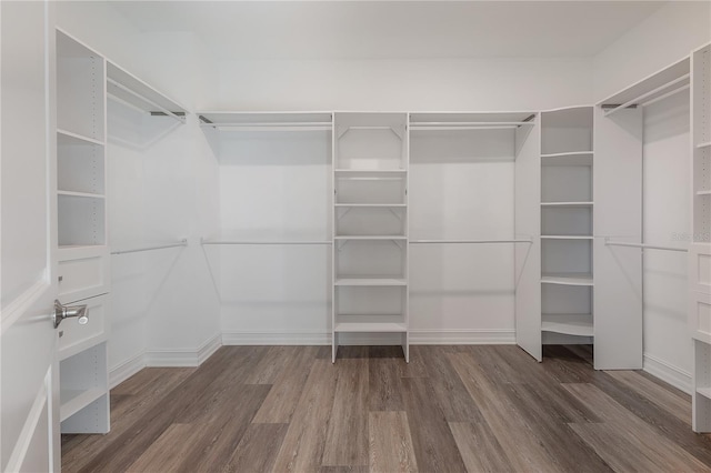 walk in closet with dark hardwood / wood-style floors