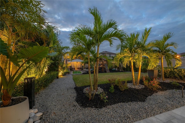 view of yard at dusk