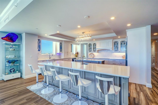 kitchen featuring a tray ceiling, sink, a spacious island, and light hardwood / wood-style floors