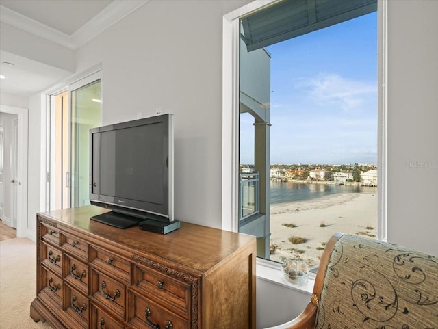 office area featuring crown molding and light carpet